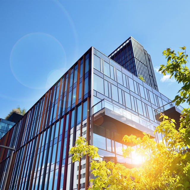 The picture shows a modern office building on a sunny day. The building is in the centre of the picture and takes up most of the frame. It has a glass and metal façade that reflects the daylight. The structure of the building consists of several rectangular glass windows separated by vertical and horizontal metal struts. The metal struts are in different colours, giving the façade a lively and modern look. In the foreground, at the bottom right of the picture, you can see a tree whose green leaves are brightly illuminated by the sunlight. The leaves partially cover the bottom right corner of the building. The sky is clear and blue with only a few small clouds in the top left of the picture. The sun's rays create lens effects that can be seen as bright, circular reflections in the picture. In the upper left area of the picture, at the edge of the building, a few plants can be seen on a roof garden, bringing a touch of nature into the otherwise urban picture.