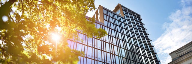 In the picture you are looking up at a modern, multi-storey office building with a complete window front on a sunny day. Other tall office buildings are reflected in the windows of the building. In the foreground on the left are the branches and green leaves of a tree, through which the sun's rays shine.